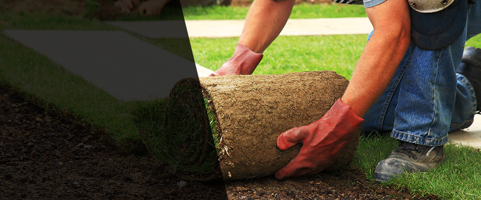 Edinboro Landscapers